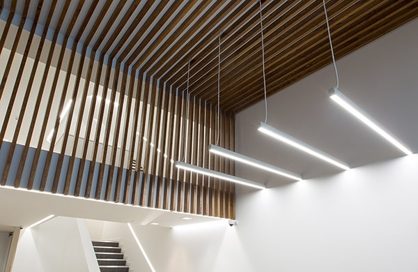 timber ceiling design Edinburgh commercial